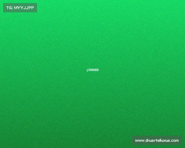 gt赛车比赛规则