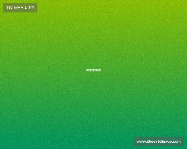 法国杯算什么赛事比赛